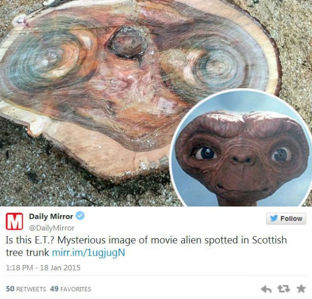 В Шотландии на коре дерева обнаружен портрет Инопланетянина (фото)